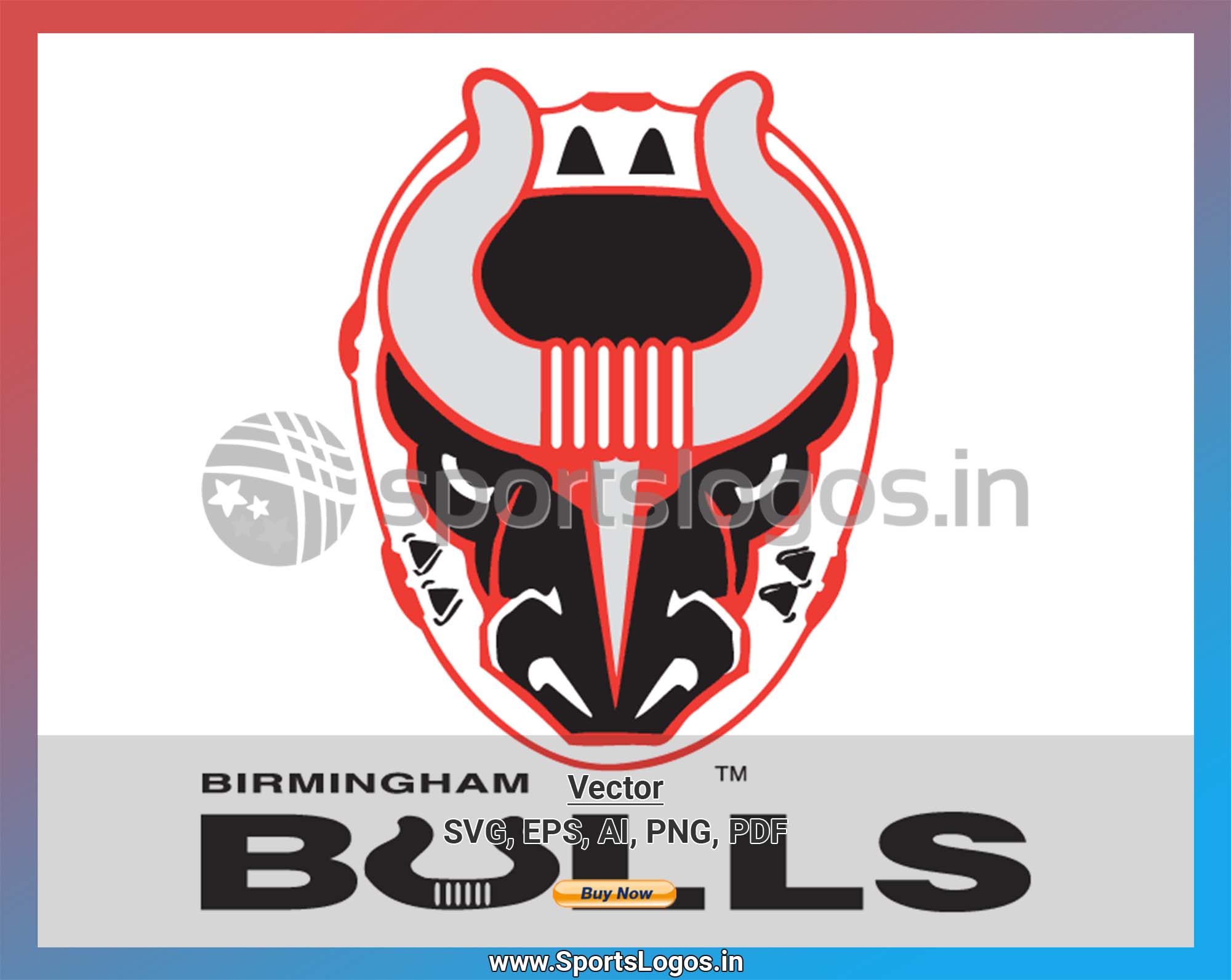 Birmingham Bulls Hockey 