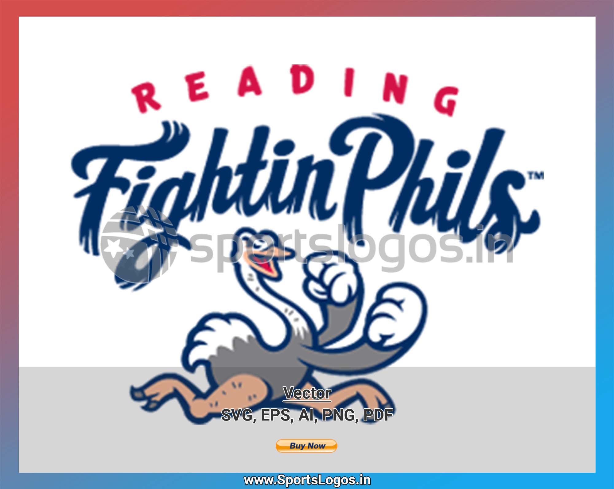Reading Fightin Phils - 2013, Eastern League, Baseball Sports
