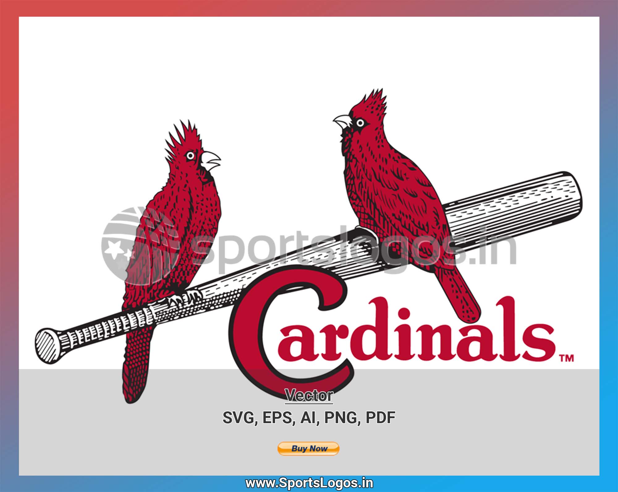 1947 St. Louis Cardinals Baseball Art