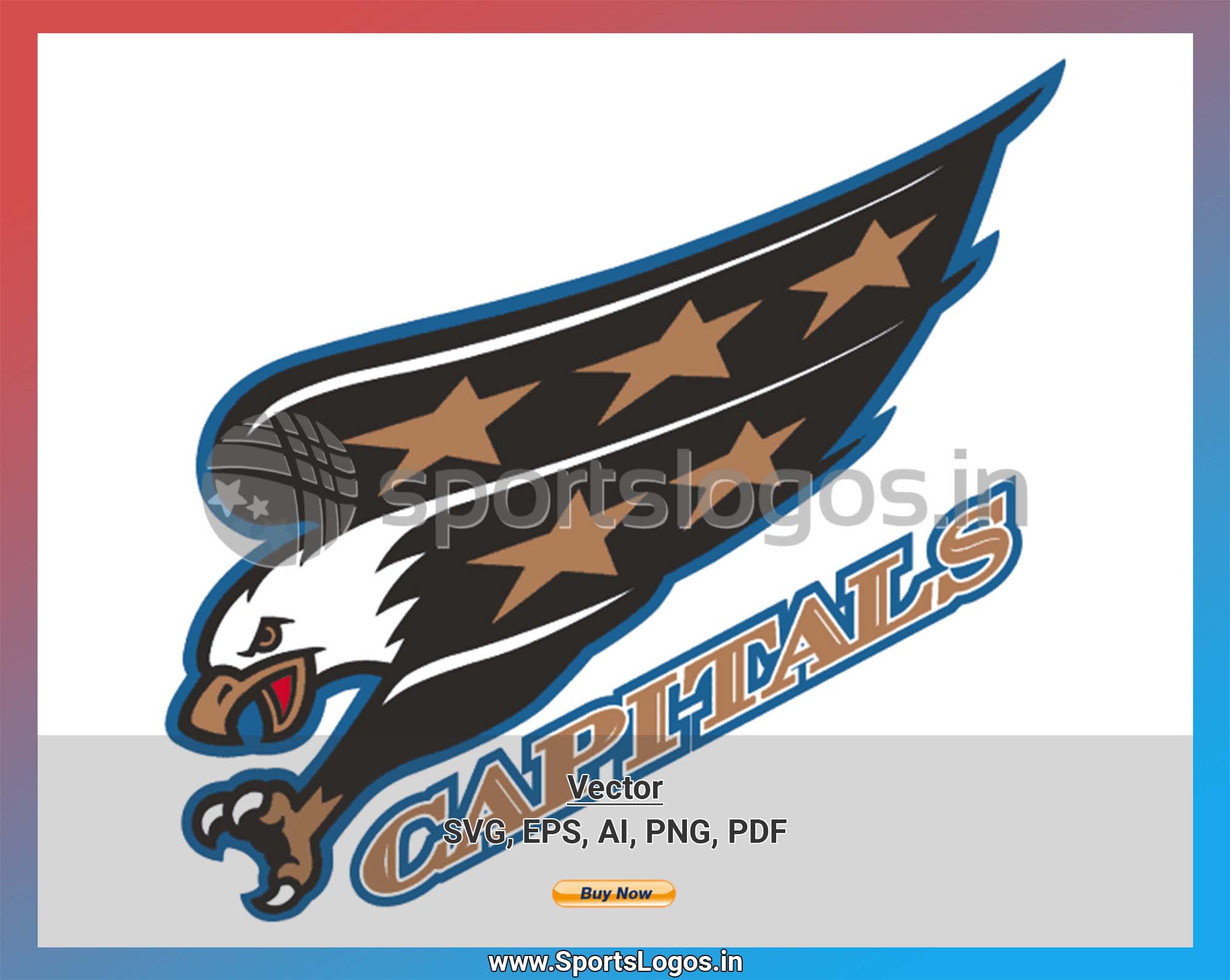 NHL Washington Capitals 2002-03 uniform and jersey original art – Heritage  Sports Art