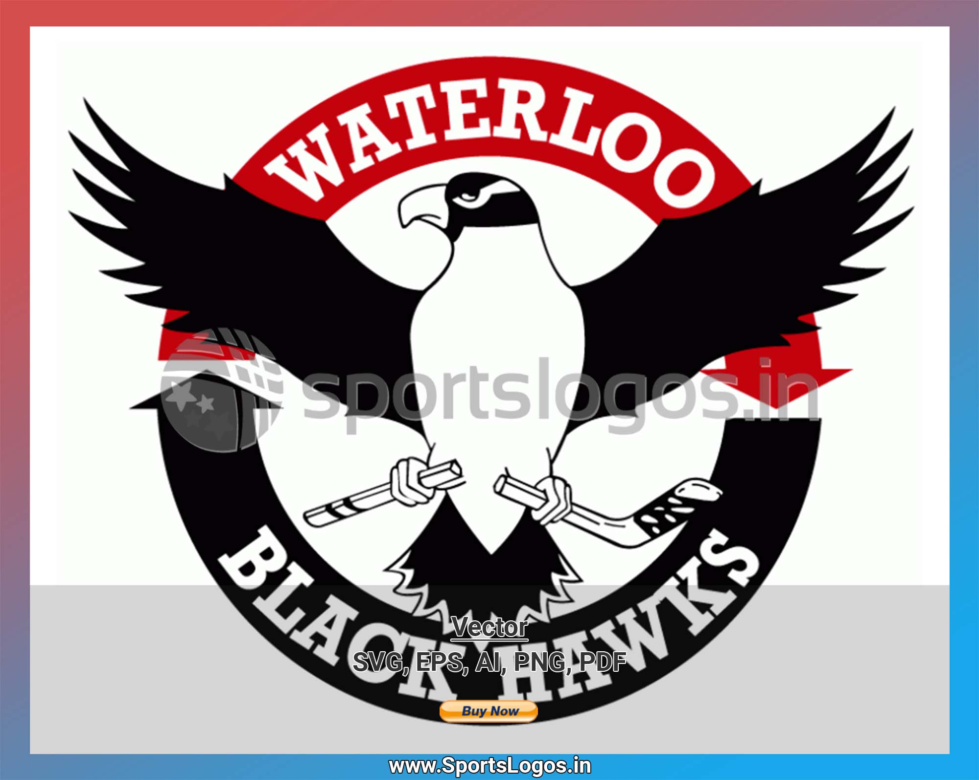 Black Hawks Look Bold in Gold - Waterloo Black Hawks