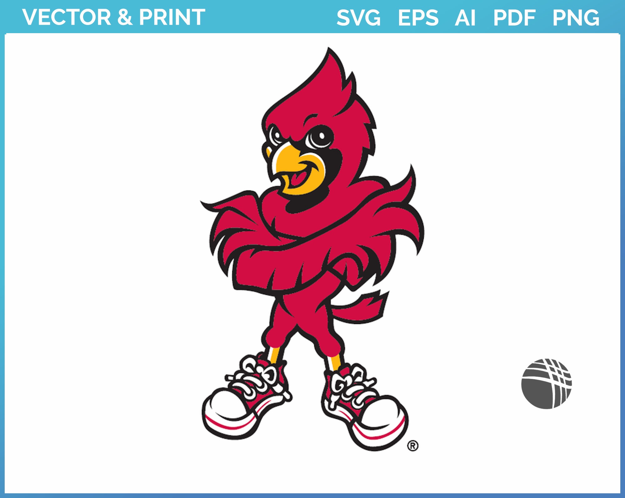Cardinals Svg Cardinal Svg Cardinal Png Cardinal Png 
